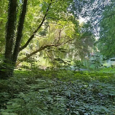 At Wukensee - Near Berlin * Biesenthal